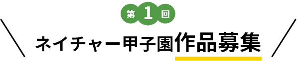 第1回ネイチャー甲子園作品募集