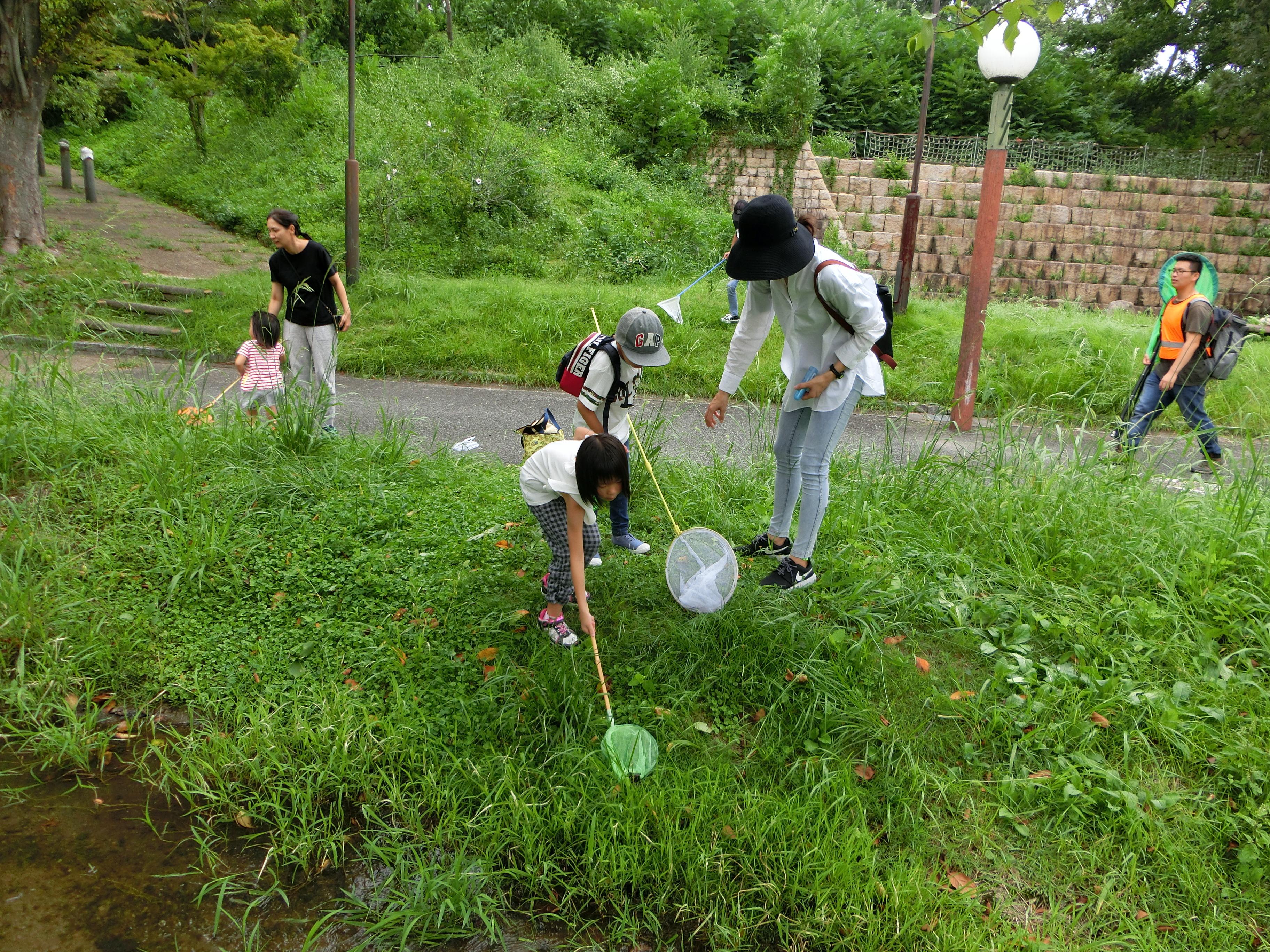 みんなで虫採り