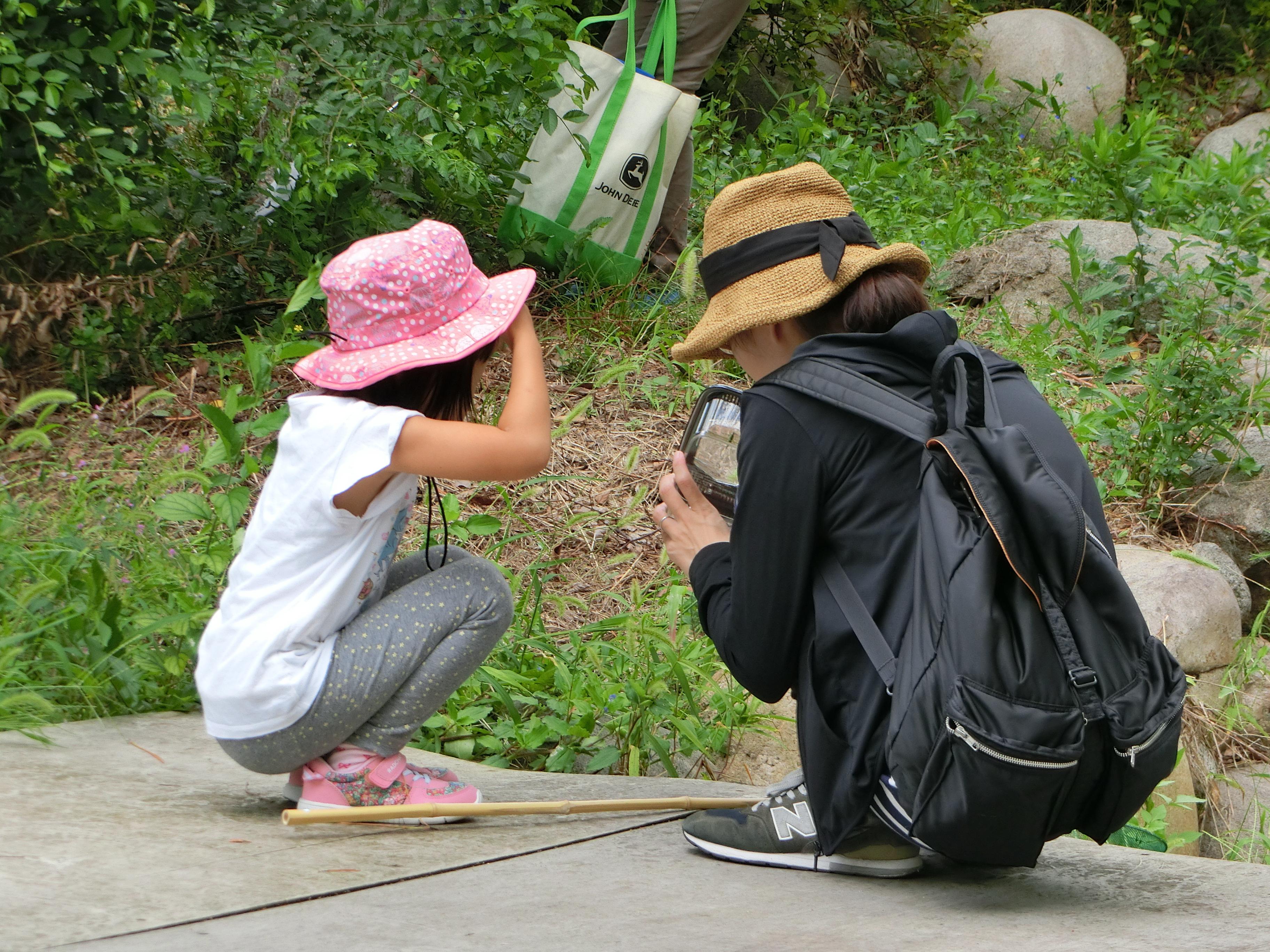 みんなで虫採り