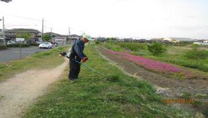 坪井川遊水地の会３