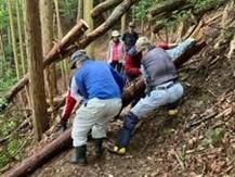 2西山古道倒木撤去作業.jpg