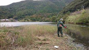 堰の池側の水路整備（堆積土砂が陸化した場所に生えるヨシを刈る）