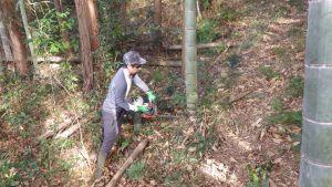 ワンデイチャレンジによる作業（竹伐採）