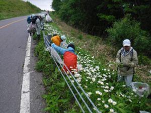 霧ヶ峰高原における草原再生モデル事業その２