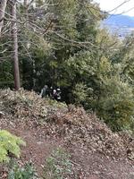 活動写真(2月).jpg