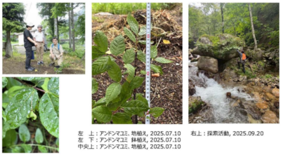 1 生育状況確認.png