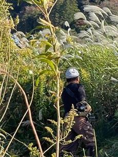 植樹予定地整備1.jpg