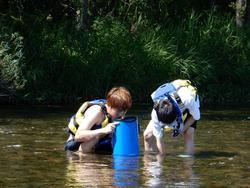 川での水生昆虫探しとボート調査 (21).JPG