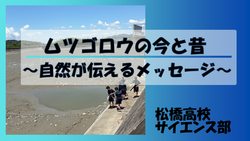 matsubase high school.PNG