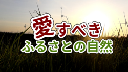 meijyo high school.png