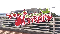 アカハネオンブバッタLovers