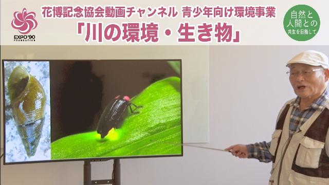 川の環境・生き物